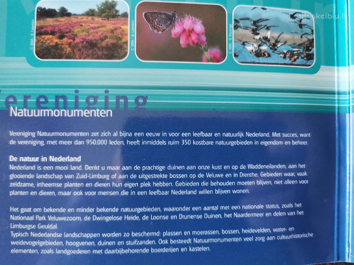 Nyderlandai (Olandija) Euro rinkiniai - nuotraukos Nr. 18