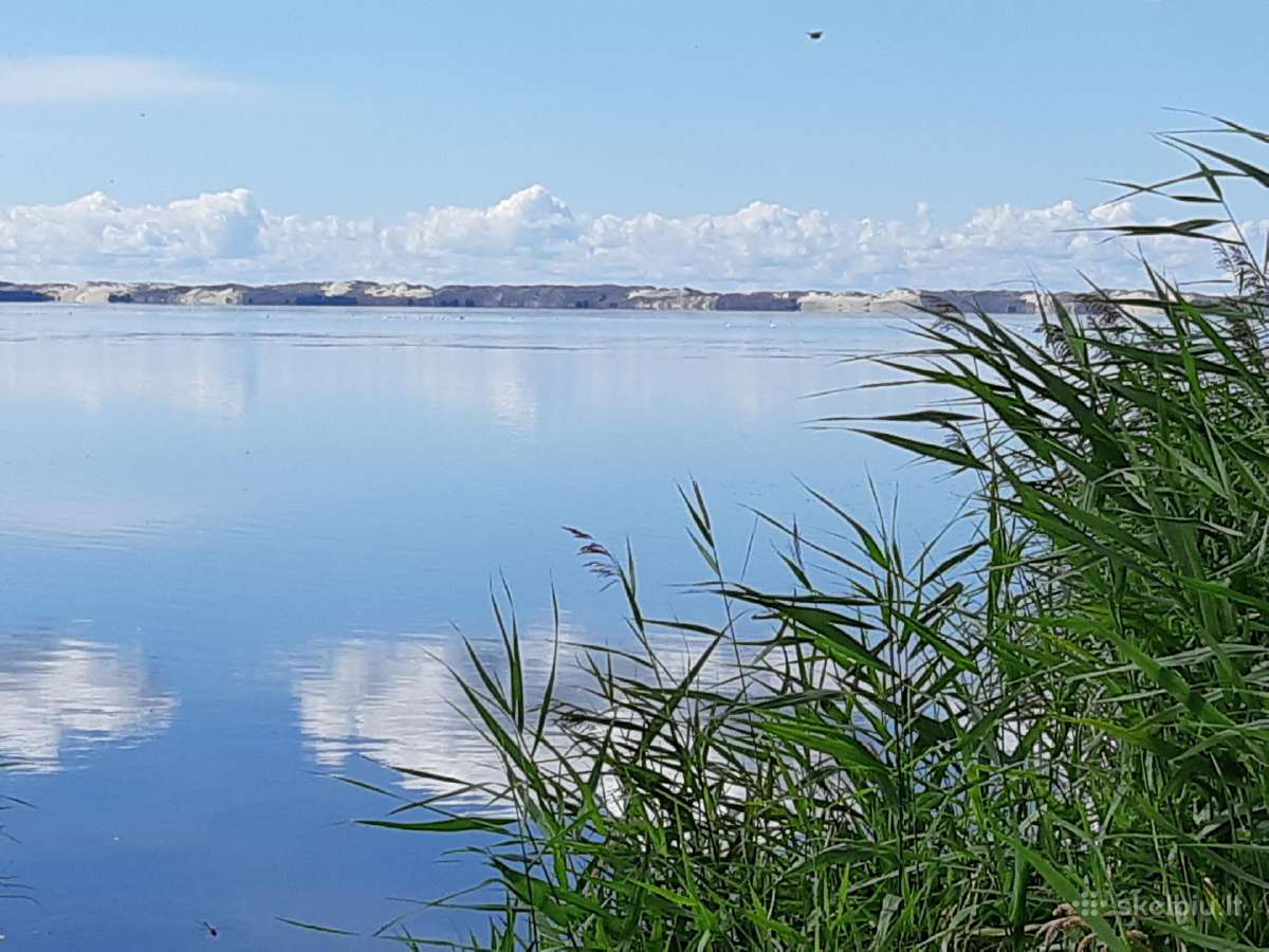 Namų Valda 20 Metrų nuo marių - nuotraukos Nr. 5