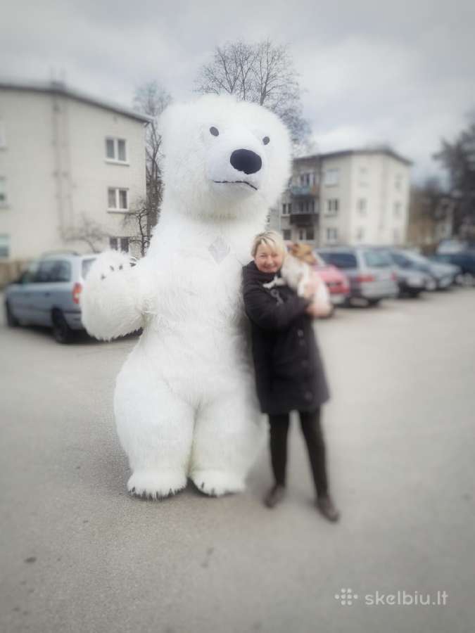 Labubu, Baltos meškos, Pandos ir Lokio sveikinimas - nuotraukos Nr. 13