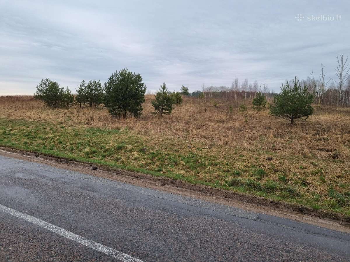 36 a. sklypas statybai arba ūkiui, Elektrėnų sav. - nuotraukos Nr. 6