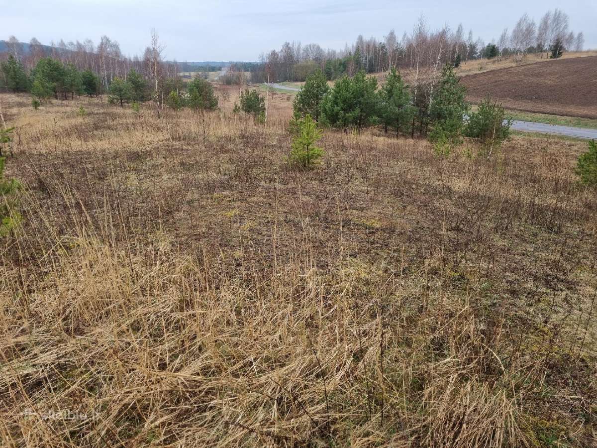 36 a. sklypas statybai arba ūkiui, Elektrėnų sav. - nuotraukos Nr. 9