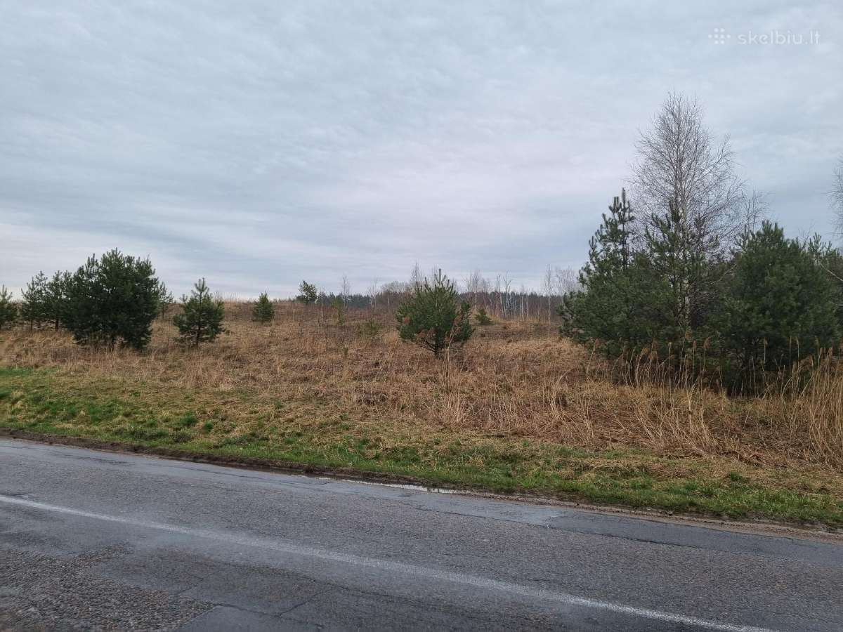 36 a. sklypas statybai arba ūkiui, Elektrėnų sav. - nuotraukos Nr. 7