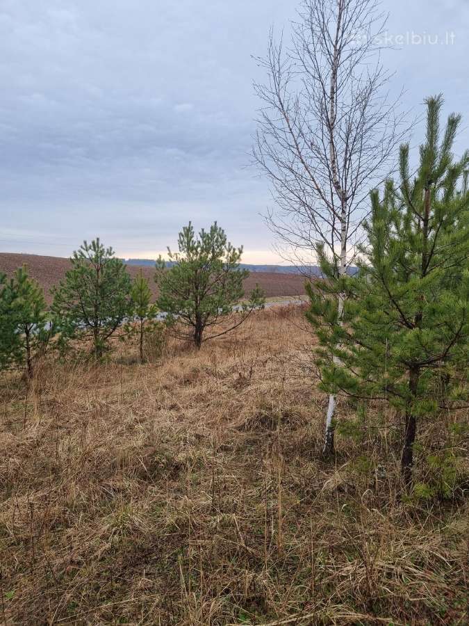 36 a. sklypas statybai arba ūkiui, Elektrėnų sav. - nuotraukos Nr. 5