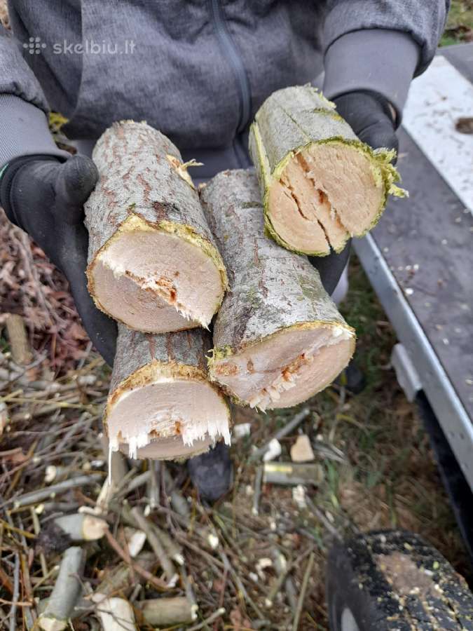 Šakų smulkintuvo,krautuvo, ekskavatoriaus nuoma - nuotraukos Nr. 7