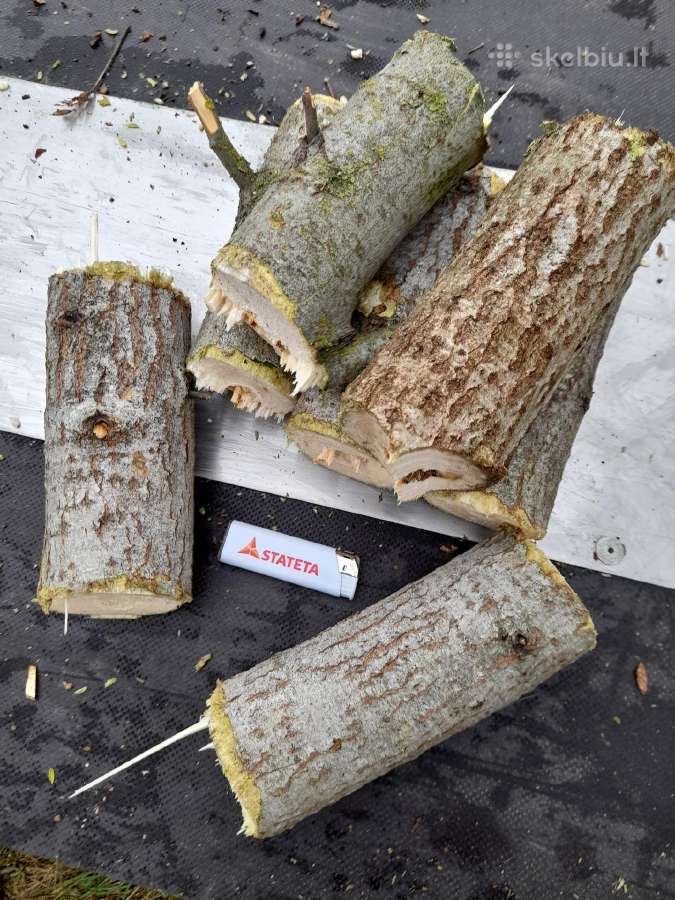 Šakų smulkintuvo,krautuvo, ekskavatoriaus nuoma - nuotraukos Nr. 23