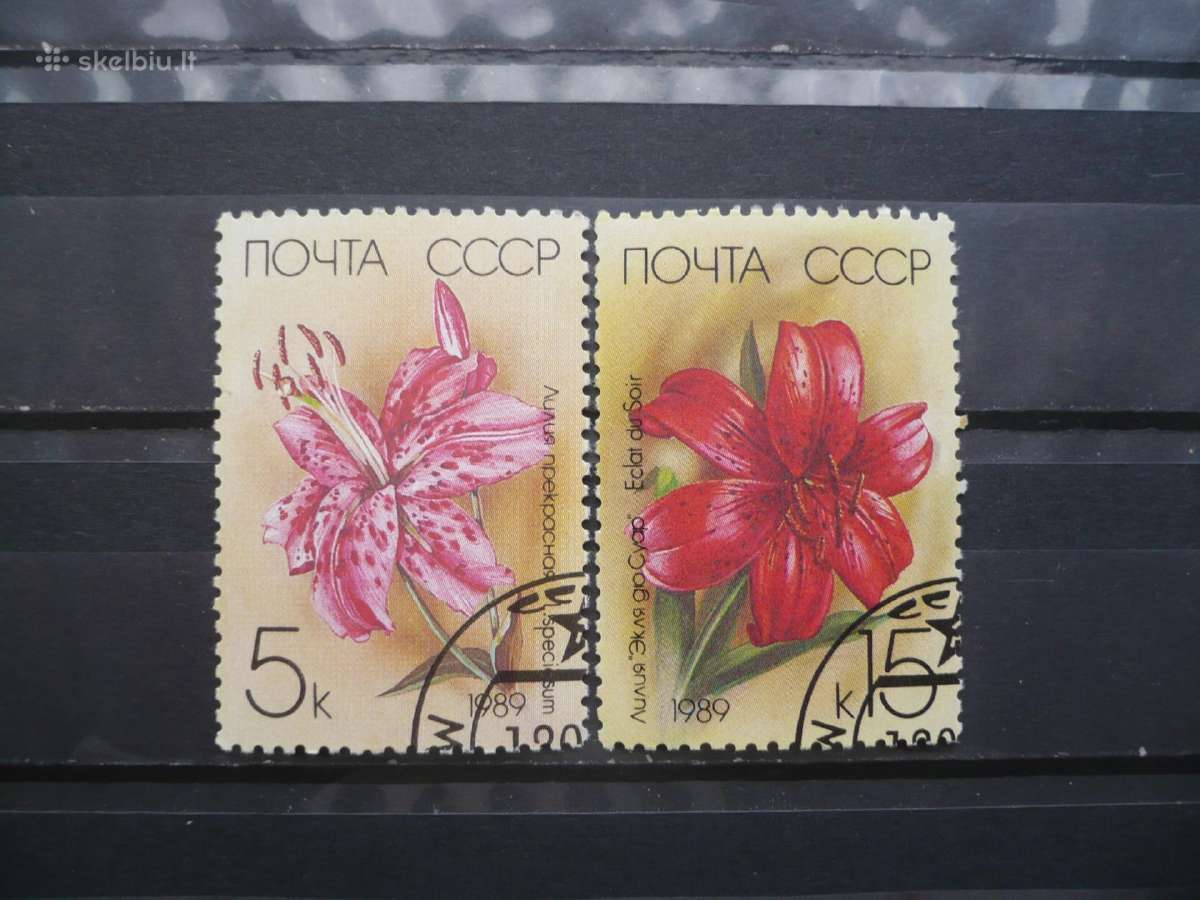 1989 Lelijos