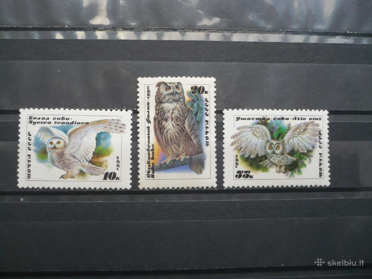 1990 Pelėdos Mhn