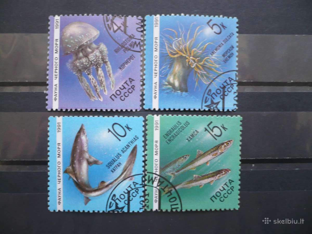 1991 m. Juodosios jūros jūrinis gyvenimas