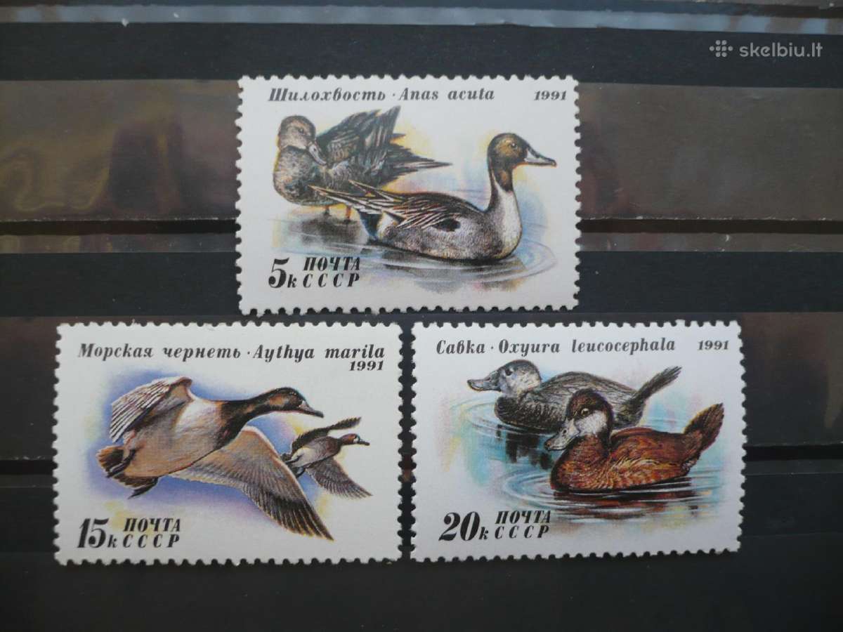 1991 Antys Mhn
