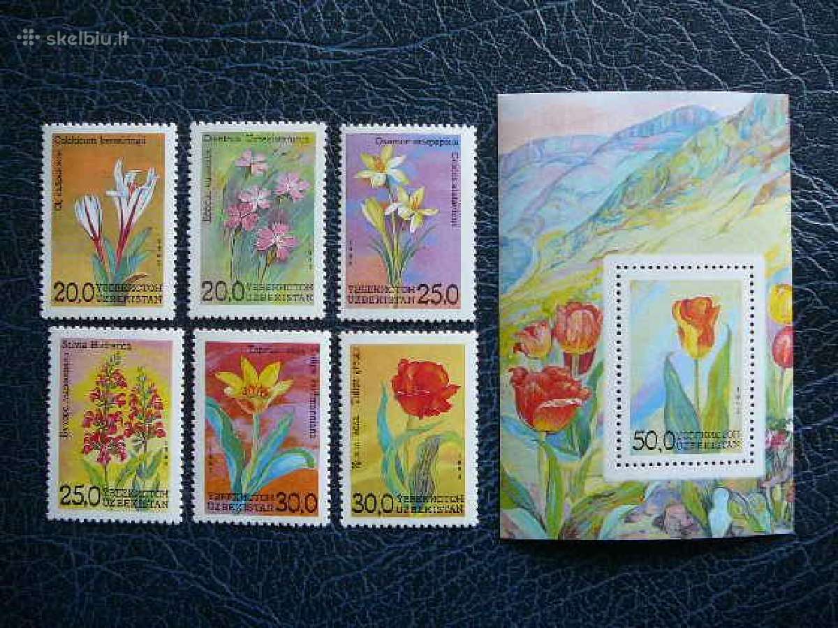Geles Uzbekija 1993 Mnh uzb35