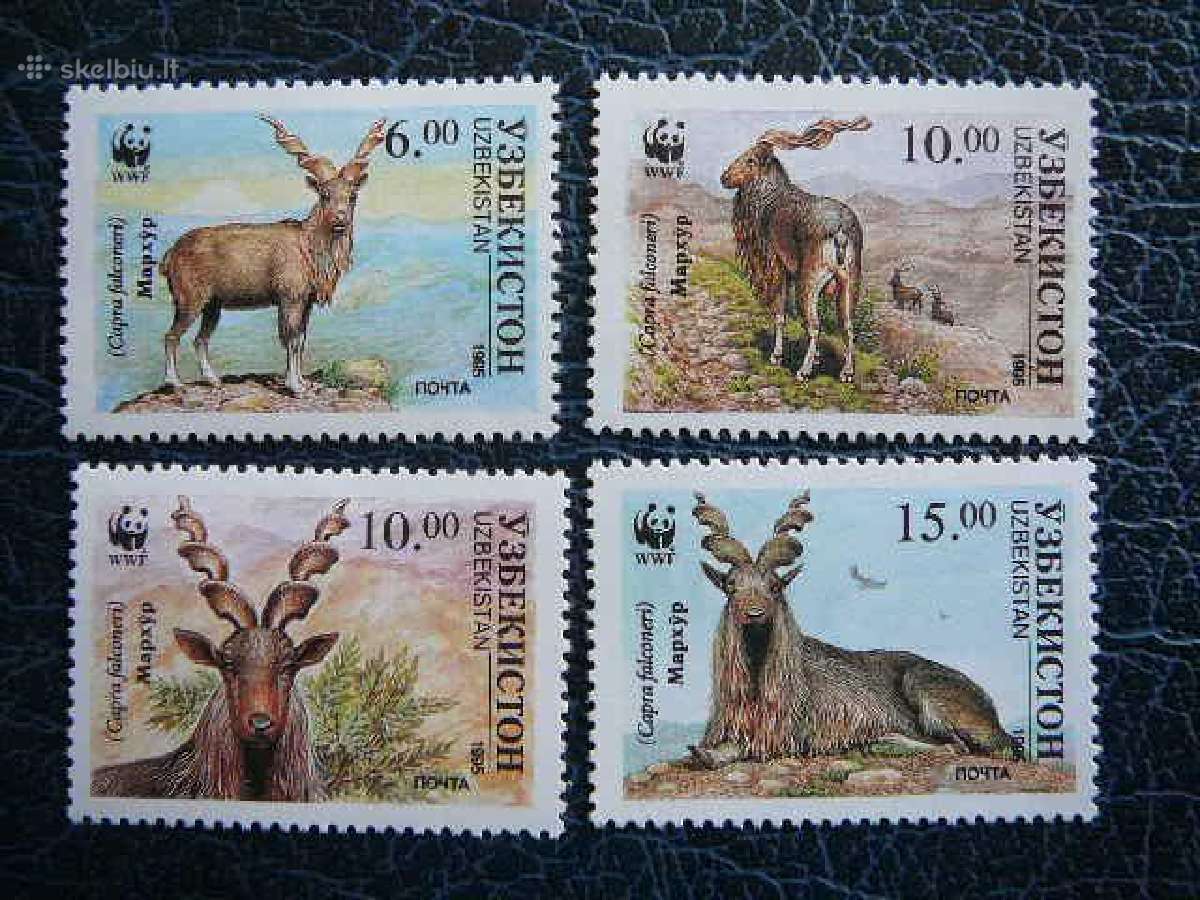 Oziai Markhorai Uzbekija 1995 Mnh uzb61