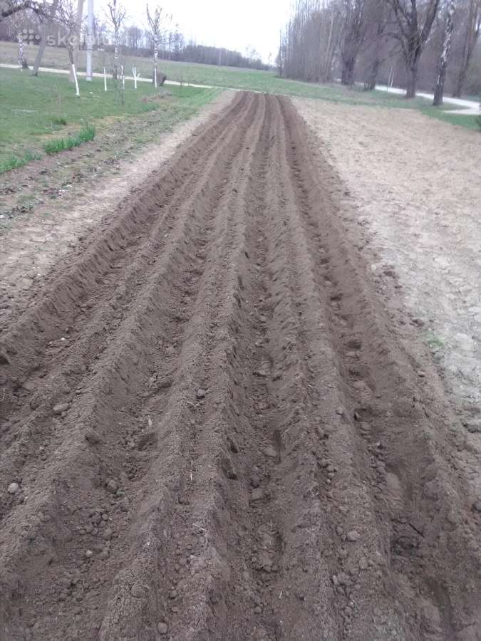 Žemės frezavimas. Žolės pjovimas. Šakų smulkinimas - nuotraukos Nr. 19