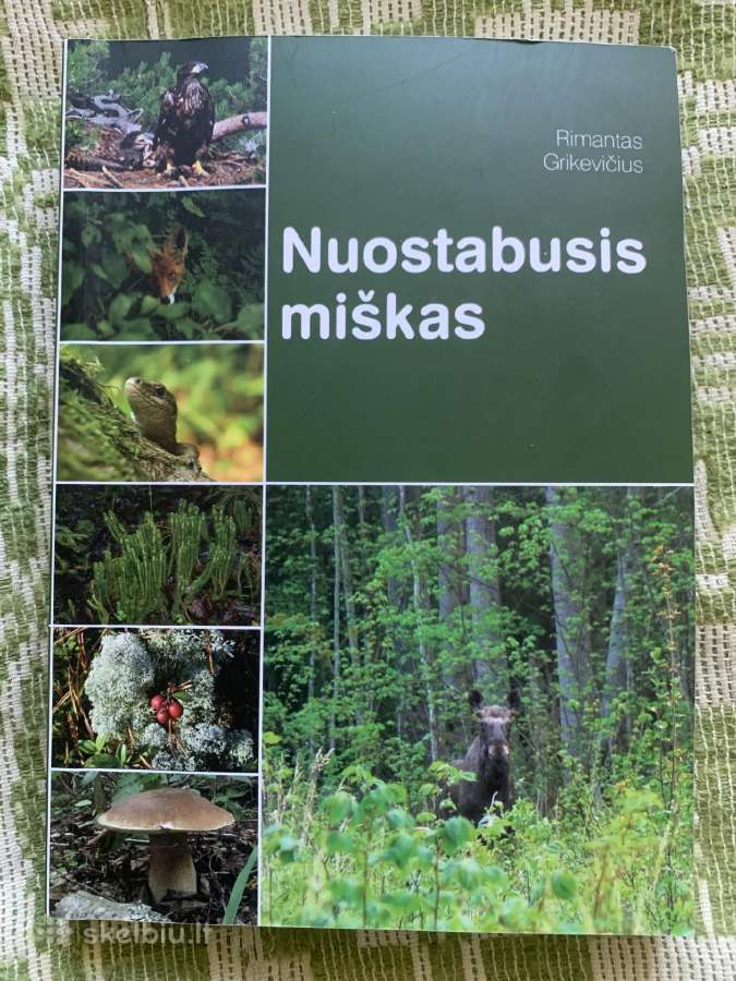 Nuostabusis miskas