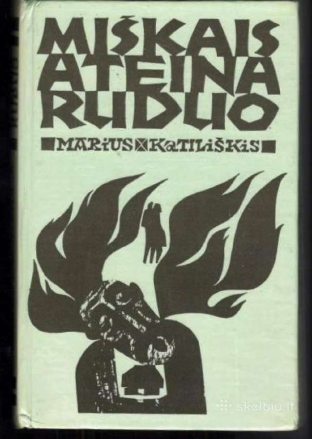 Lietuvių klasikų rašytojų knygos Požėra Žilinskait - nuotraukos Nr. 3