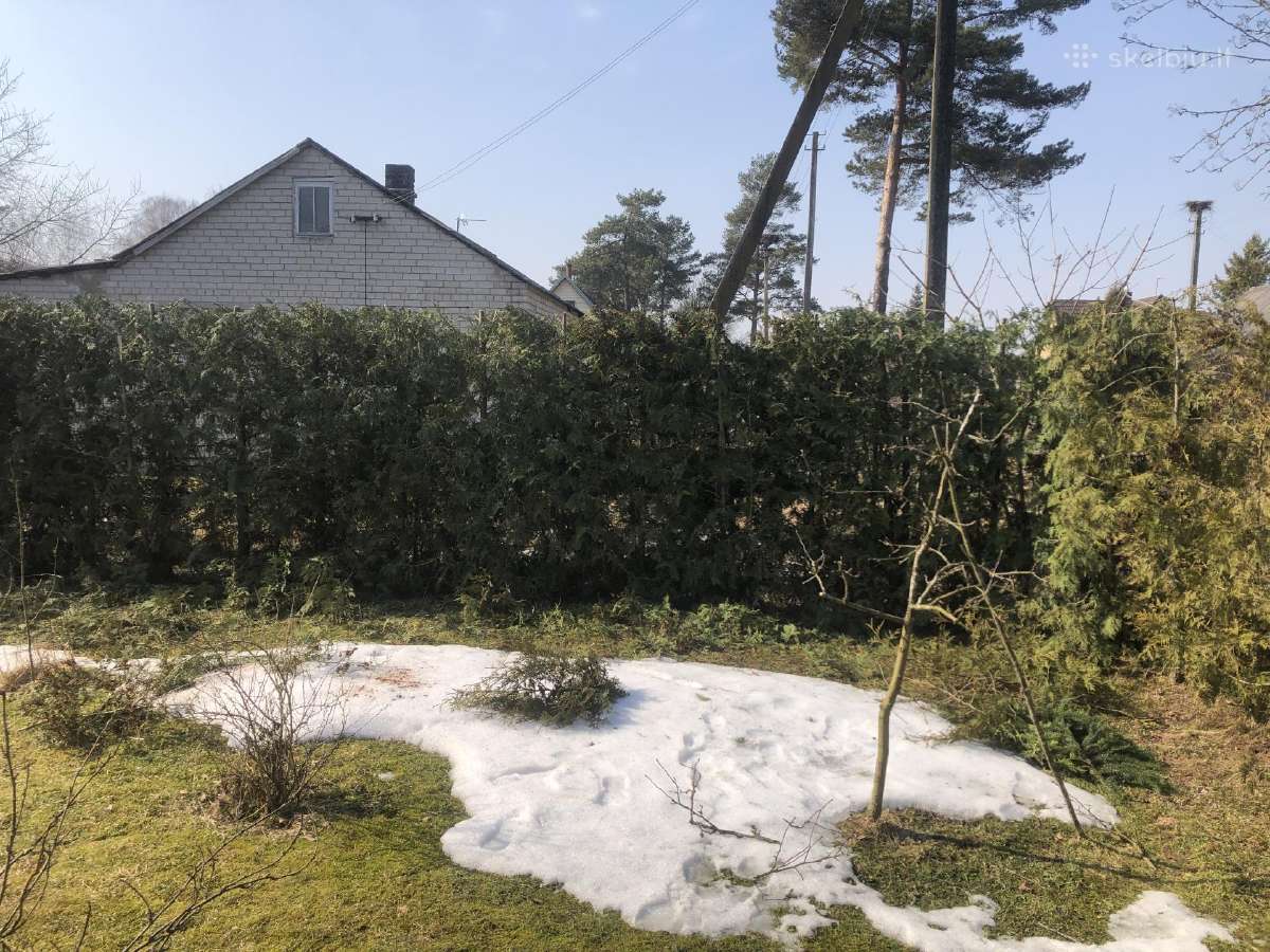 Avariniu medžių pjovimas - nuotraukos Nr. 11