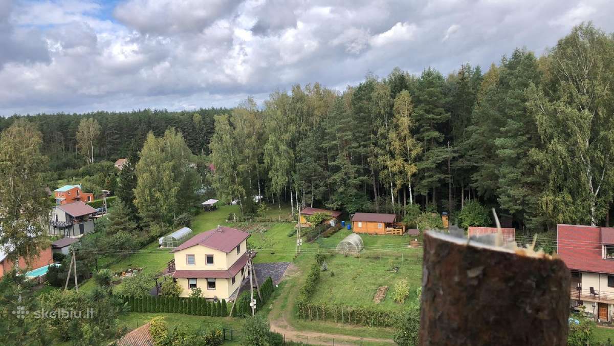Medžių pjovimas, krūmų bei žolės pjovimas - nuotraukos Nr. 12