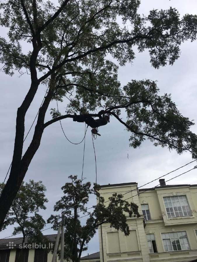 Avarinių medžių , krūmų pjovimas. Arboristas. - nuotraukos Nr. 17