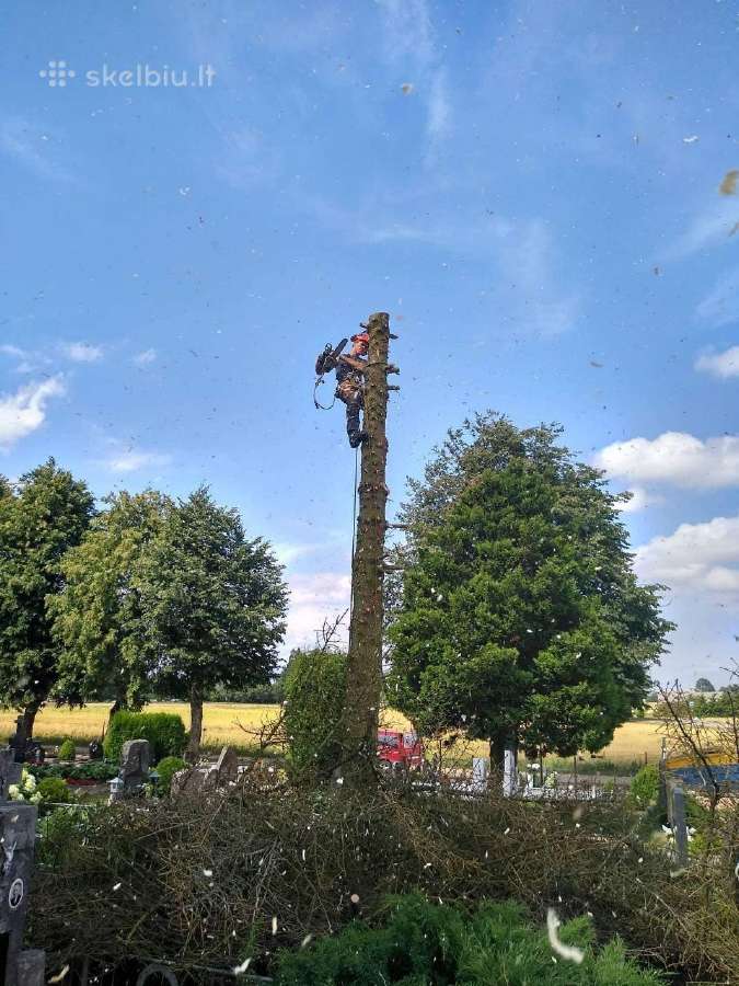 Avarinių medžių , krūmų pjovimas. Arboristas. - nuotraukos Nr. 18