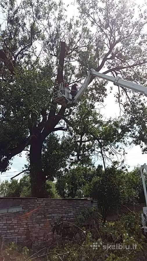 Avarinių medžių , krūmų pjovimas. Arboristas. - nuotraukos Nr. 20