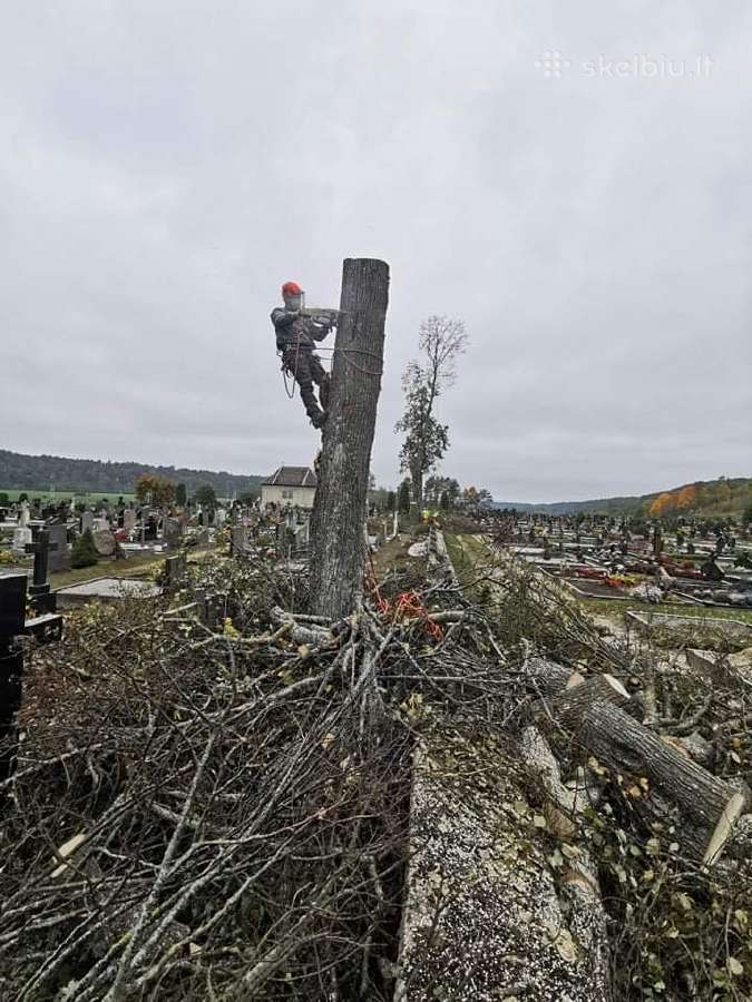 Avarinių medžių , krūmų pjovimas. Arboristas.