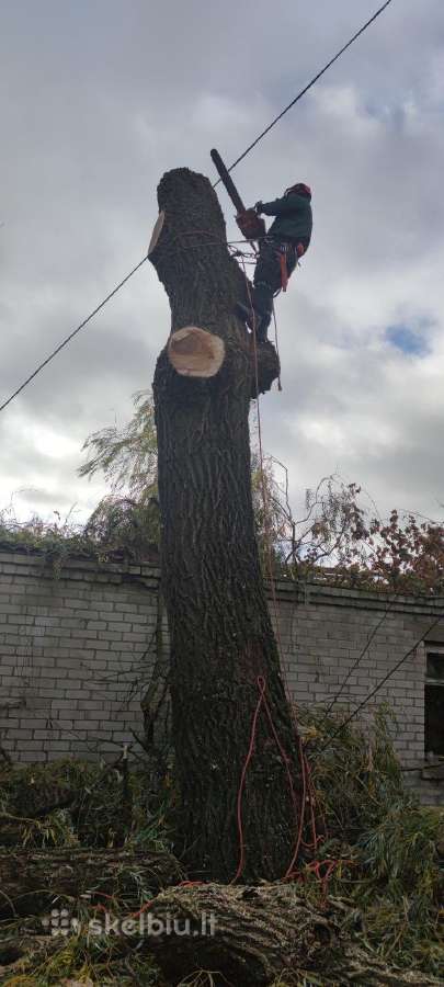 Avarinių medžių , krūmų pjovimas. Arboristas. - nuotraukos Nr. 27
