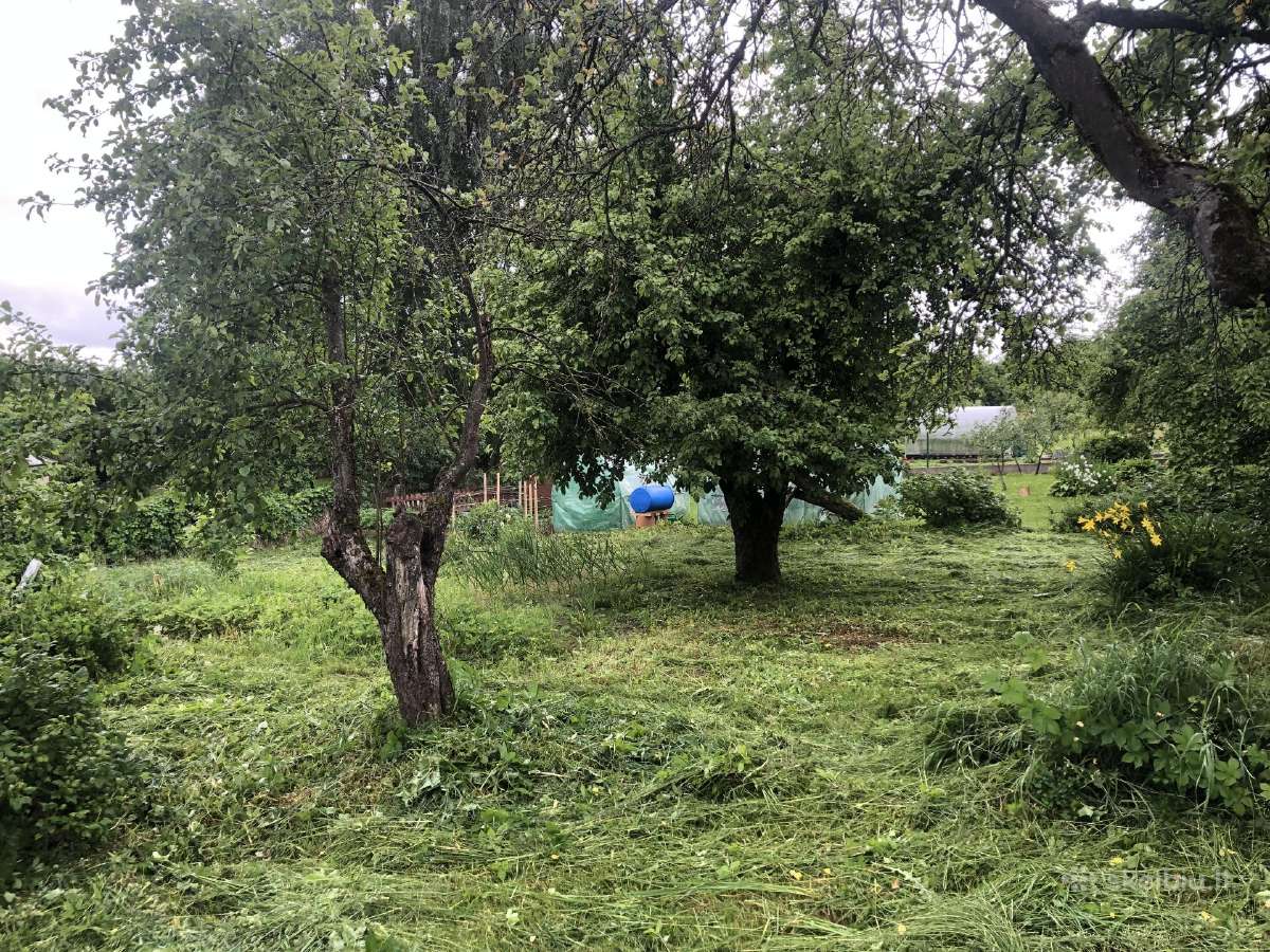 Žolės pjovimas. Vejos skarifikavimas - nuotraukos Nr. 8
