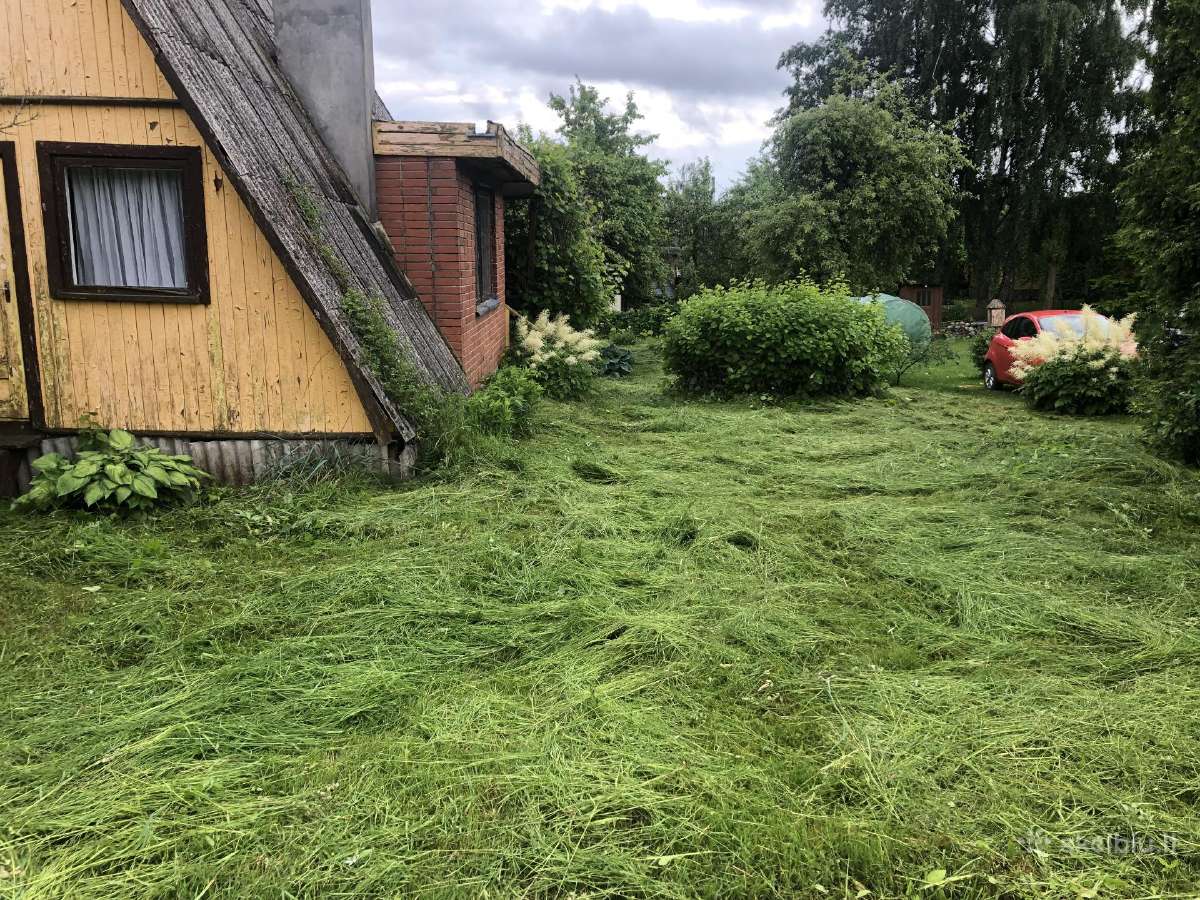 Žolės pjovimas. Vejos skarifikavimas - nuotraukos Nr. 9