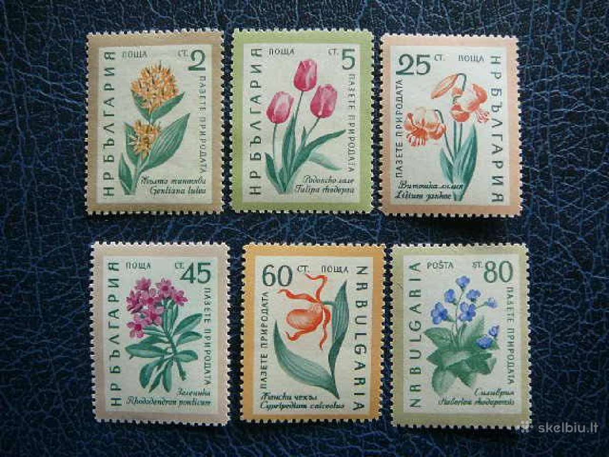 Geles Flora Bulgarija 1960 Mnh bg1164
