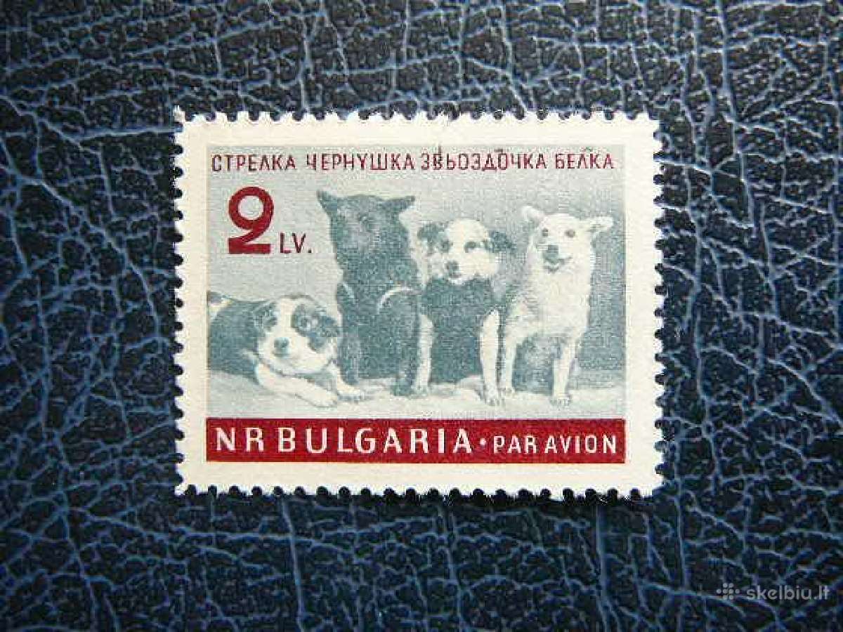 Kosmosas Sunys Bulgarija 1961 Mnh bg1249