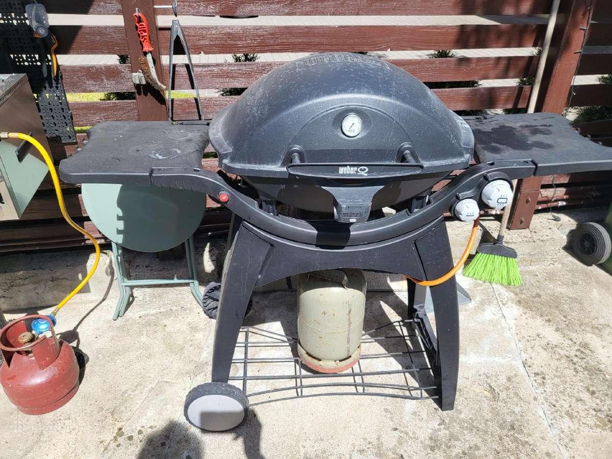 Kepsninė Weber Q3000