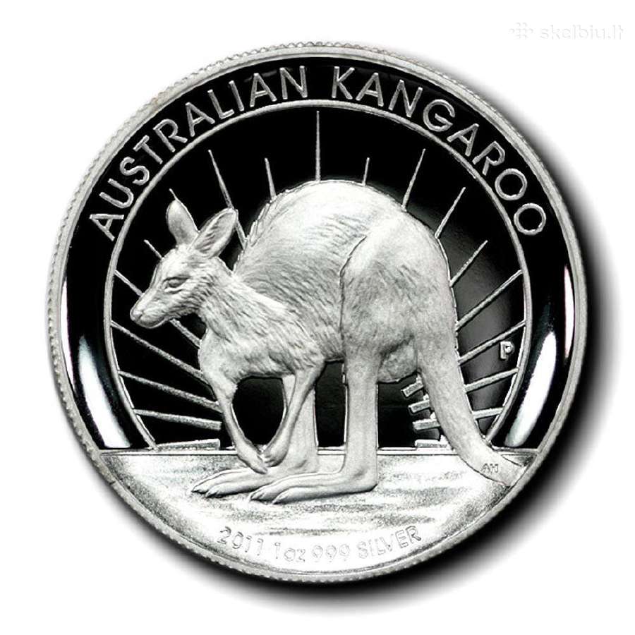 Australija 2011 Australijos kengūra - nuotraukos Nr. 3