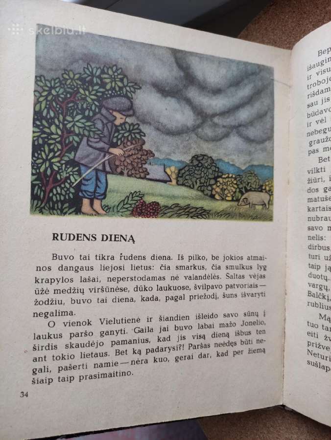 Šatrijos Ragana - Iš daktaro pasakojimų - nuotraukos Nr. 7