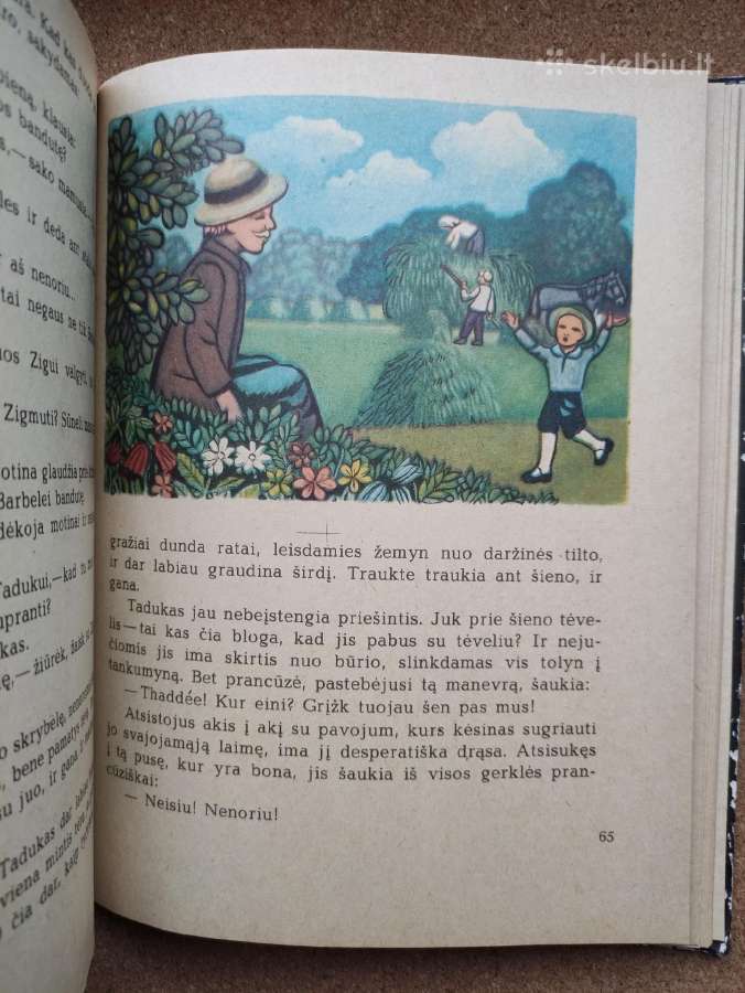 Šatrijos Ragana - Iš daktaro pasakojimų - nuotraukos Nr. 10