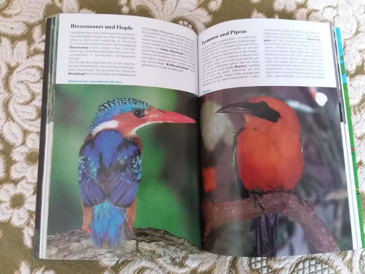 Vogelpark walsrode paukščiai - nuotraukos Nr. 2