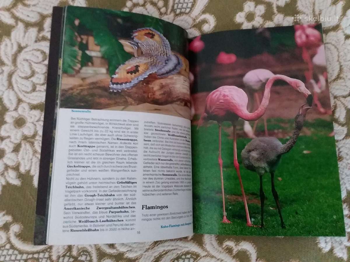 Vogelpark walsrode paukščiai - nuotraukos Nr. 3