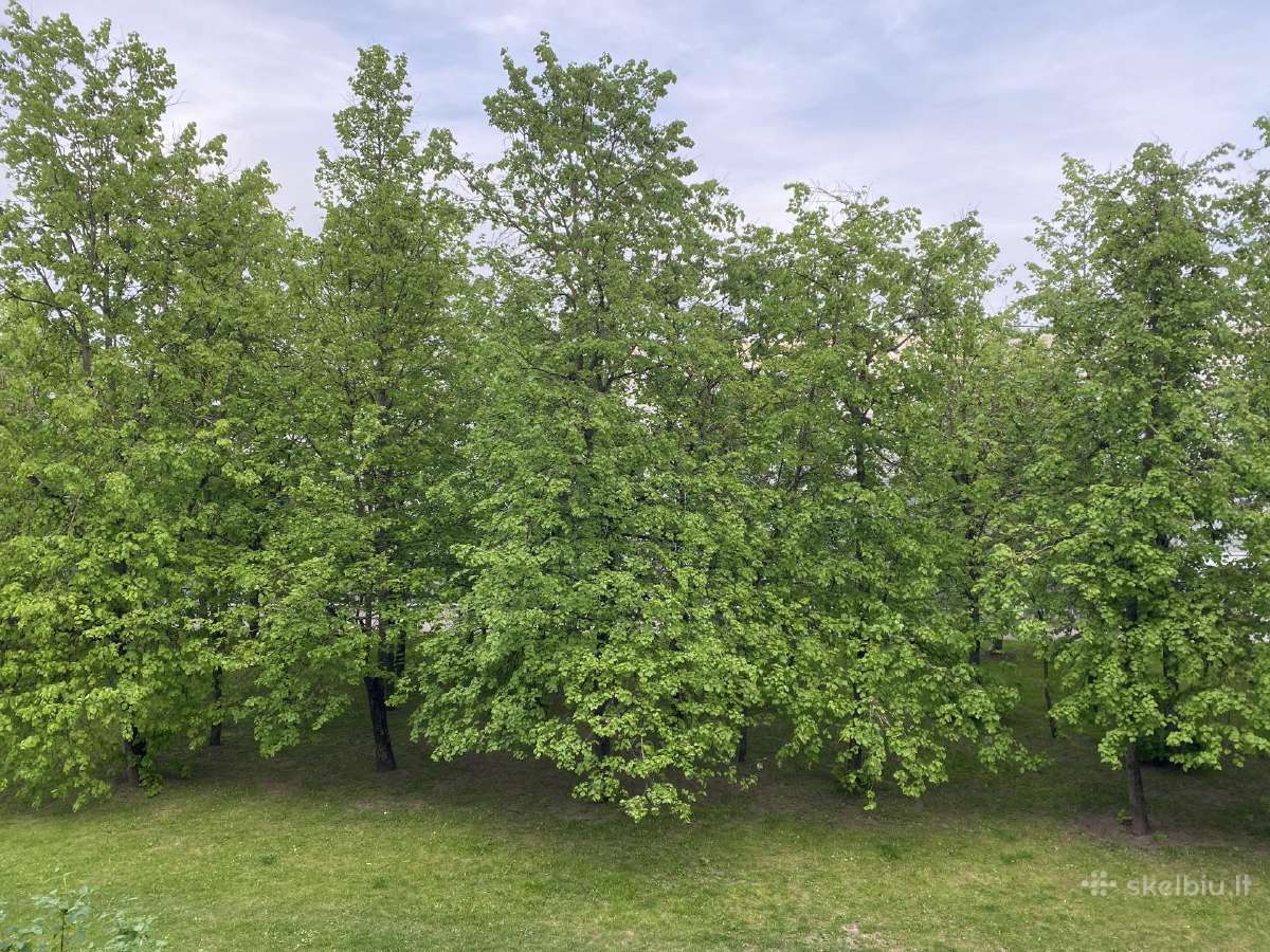 Naujai įrengti apartamentai netoli "Urmo"- nuo 30€ - nuotraukos Nr. 7