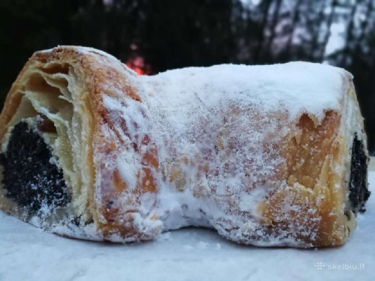 Šimtalapis su aguonomis Vilniuje - nuotraukos Nr. 3