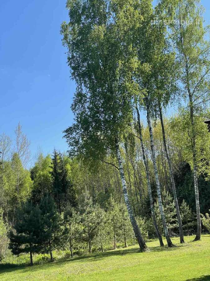 Sodybos nuoma prie Vilniaus tik 250€ - nuotraukos Nr. 17