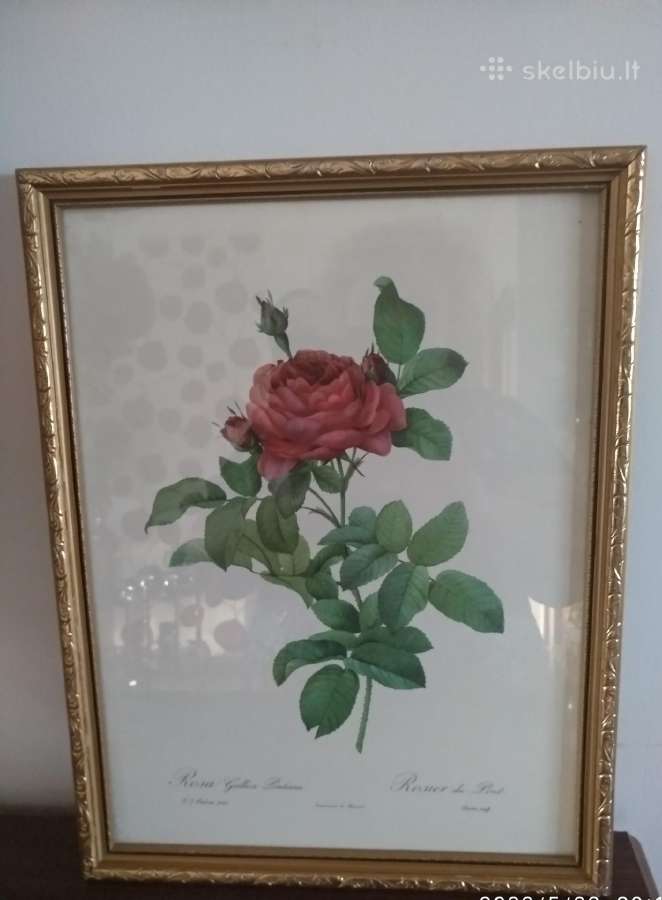 Paveikslas 34x43 cm