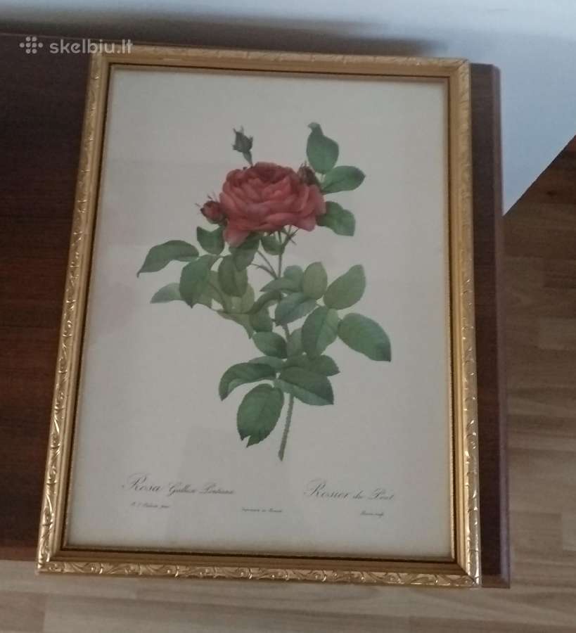 Paveikslas 34x43 cm - nuotraukos Nr. 2