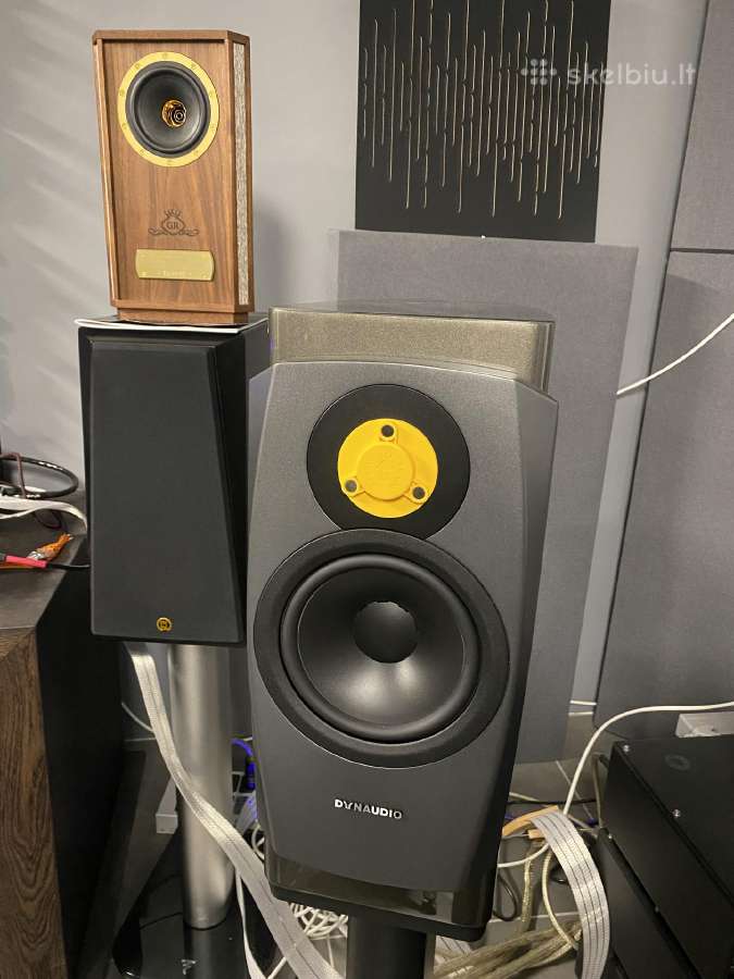Dynaudio Evoke 50 blonde wood koloneles - nuotraukos Nr. 17