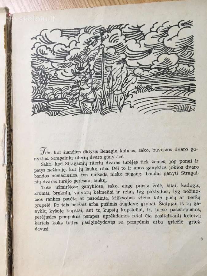 Siimonaitytė Pikčiurnienė - nuotraukos Nr. 2