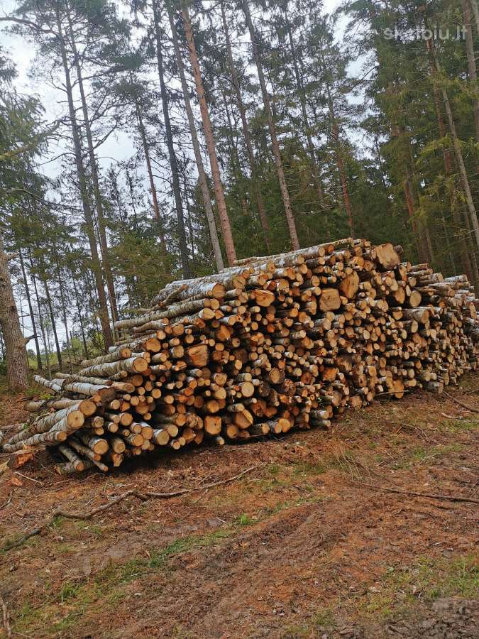 Geros kokybės malkos,malkos padėklose,pigiosmalkos - nuotraukos Nr. 6