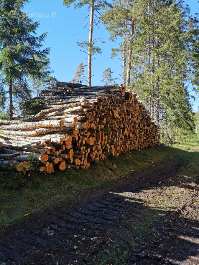 Geros kokybės malkos,malkos padėklose,pigiosmalkos - nuotraukos Nr. 12