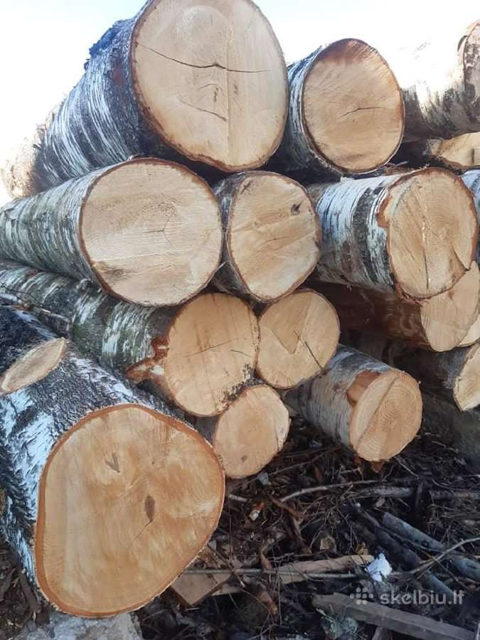 Malkos beržo ąžuolo mišrios Klaipėdoje - nuotraukos Nr. 11
