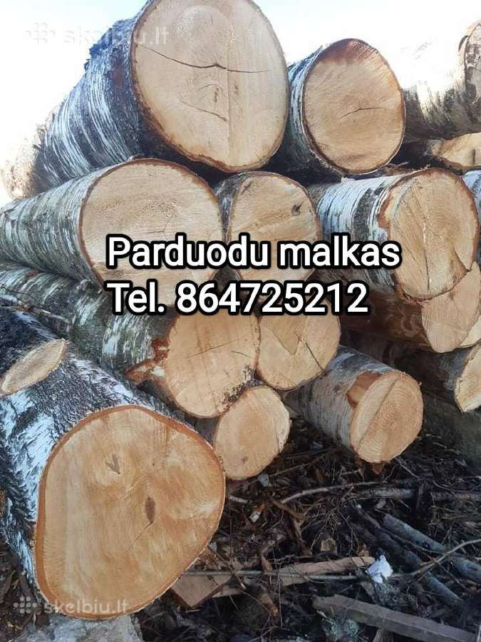 Malkos beržo ąžuolo mišrios Klaipėdoje - nuotraukos Nr. 2