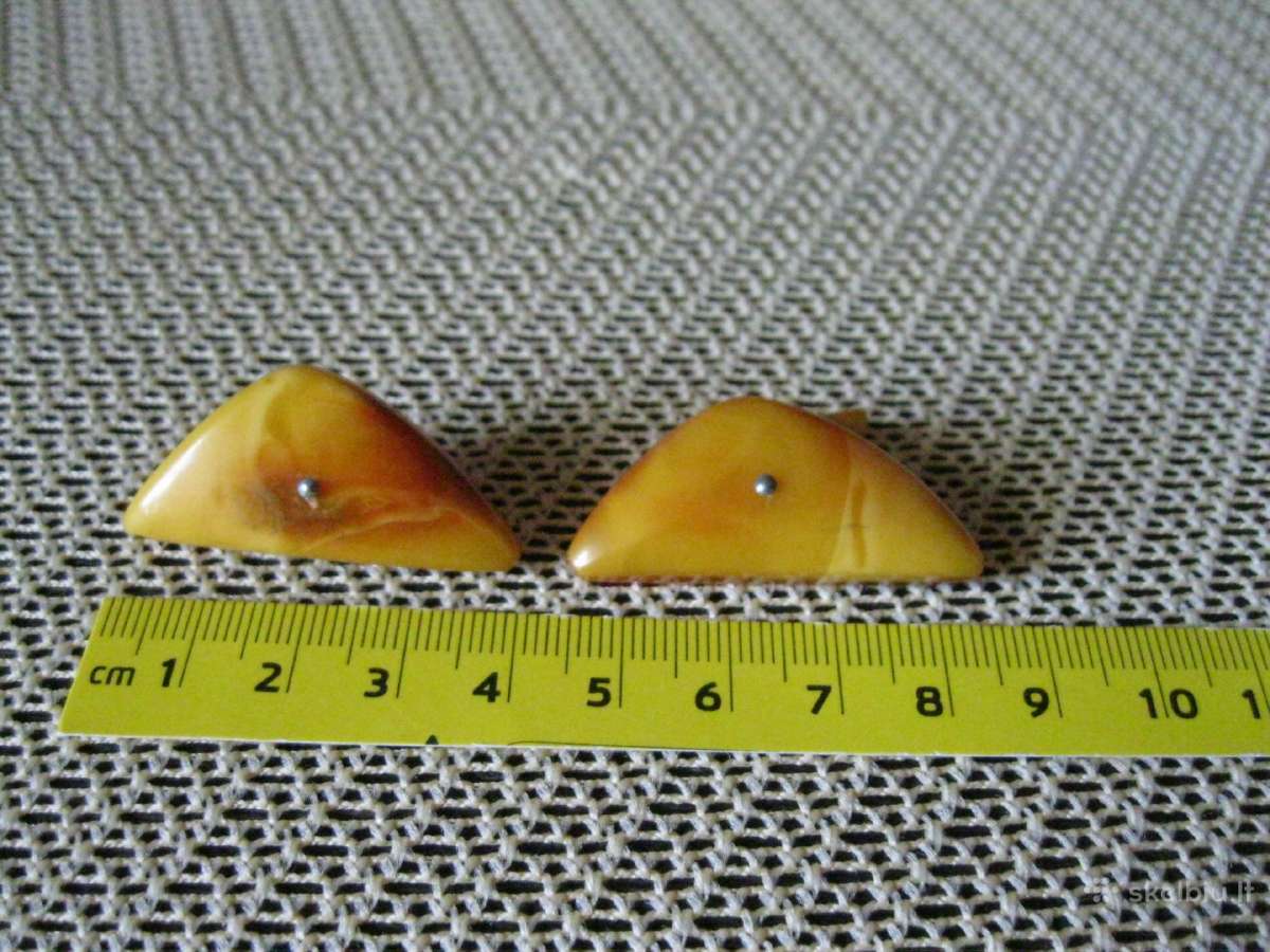 Gintaras . Senovines Baltiniu Sasagos ( Kulionikai - nuotraukos Nr. 2