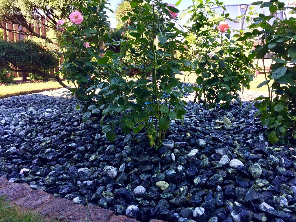 Dekoratyvinė skalda, gludinti akmenukai - nuotraukos Nr. 26
