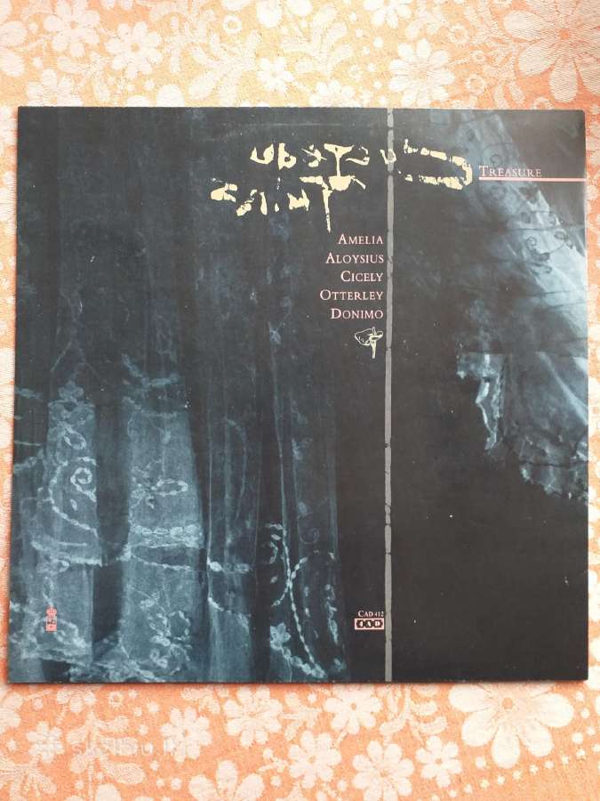 Cocteau Twins vinilas " Treasure " - nuotraukos Nr. 2