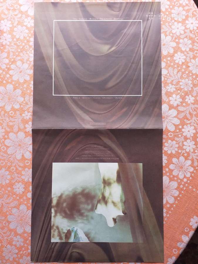 Cocteau Twins vinilas " Treasure " - nuotraukos Nr. 5